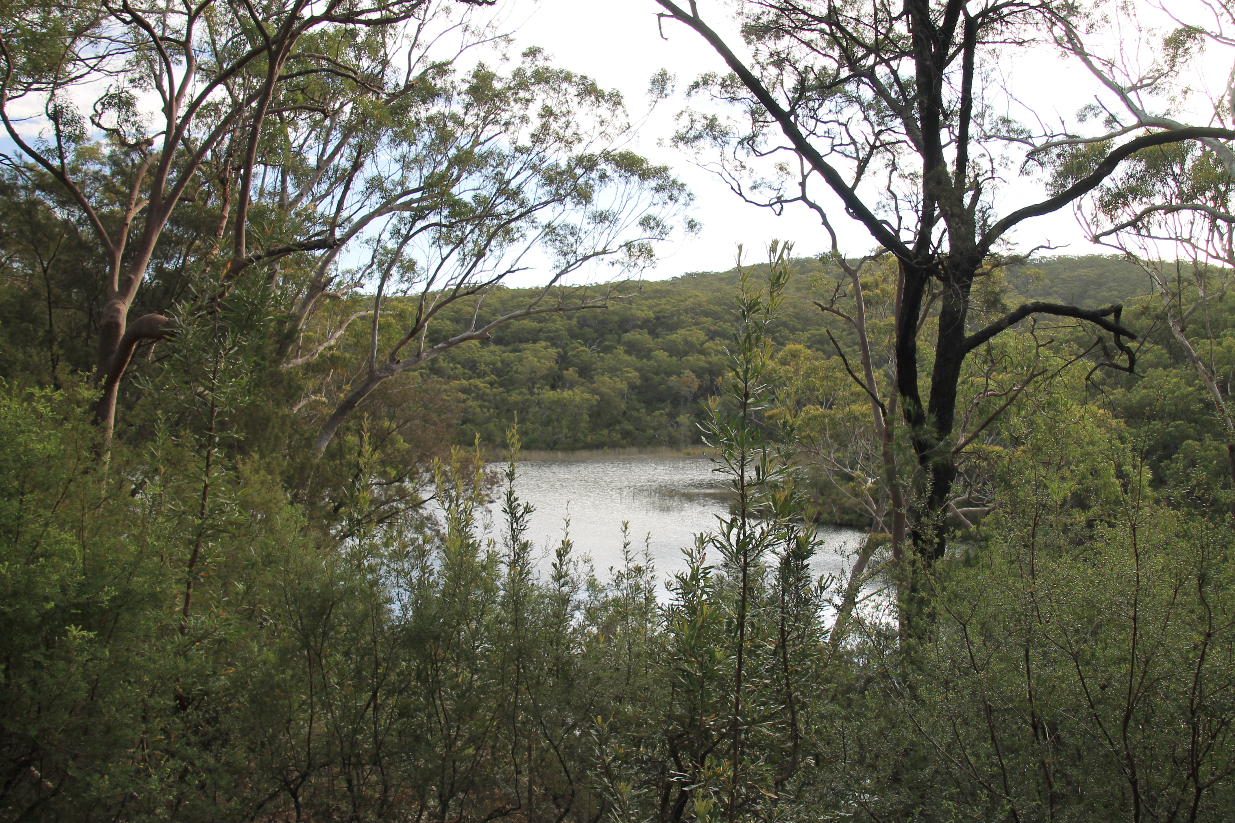 Blue Lake, Moreton Bay Ramsar Site